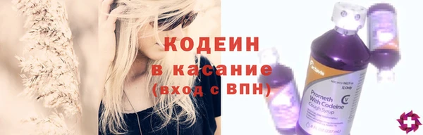 гашик Нея