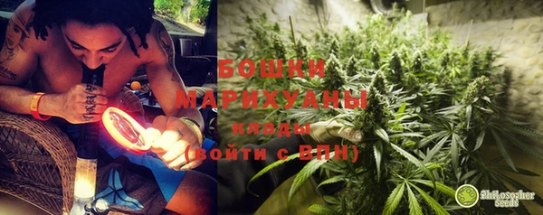 гашик Нея