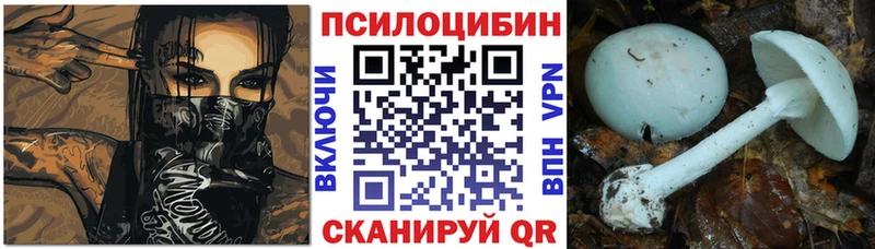 Галлюциногенные грибы Cubensis  Купить где  Учалы 
